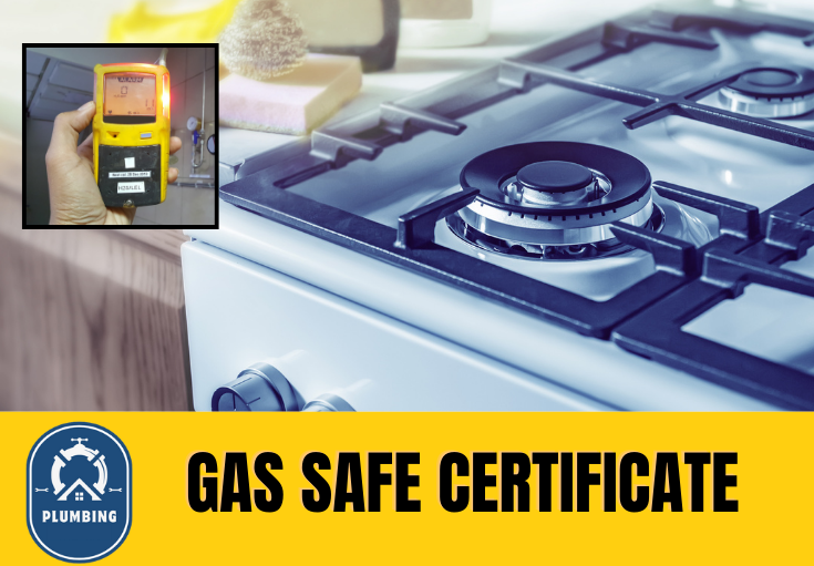 gas safe certificate Minster On Sea