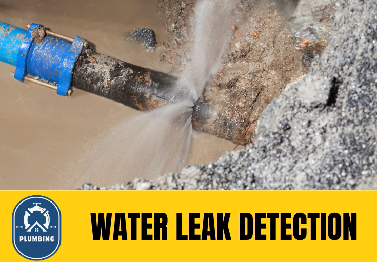 leak detection Minster On Sea